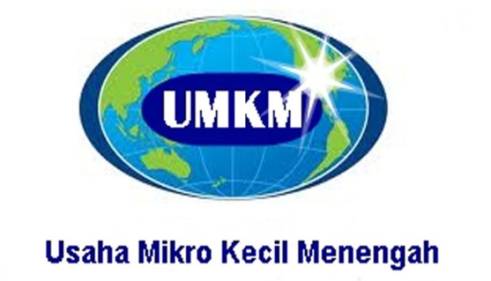33.838 UKM.Sudah Berapa Mendapat Perhatian Pemerintah Wajo.