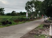 Pekerjaan Talut Siluman di Desa Massamaturu, Tak Bertuan