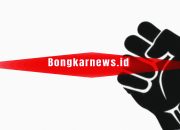 Bongkarnews.id Mitra Resmi Lembaga Poros Rakyat Indonesia.