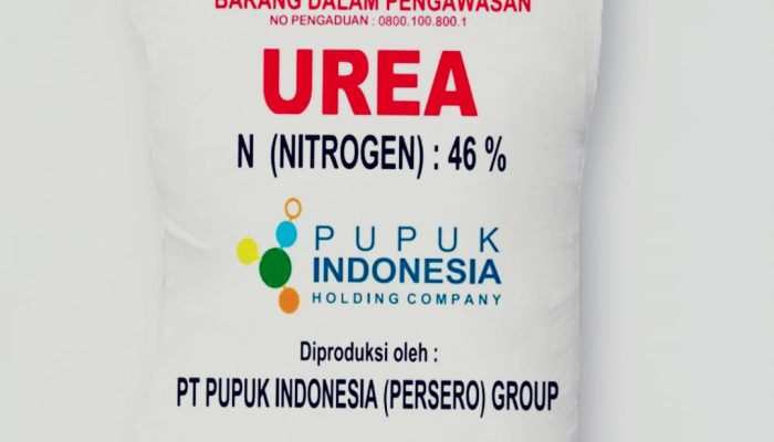 Dinas Pertanian Tutup Mata Pupuk UREA Bersubsidi Langka Petani Menjerit.