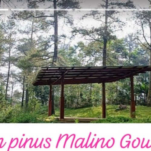 Dugaan Uang Karcis Di Tempat Wisata Pohon Pinus Di Salah Gunakan.