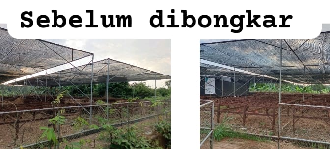 Bosan Di Telantarkan Aset Polbangtan Gowa Senilai Rp1,12 Miliar Dibongkar Paksa.