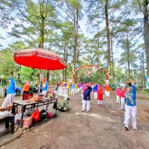 Skandal Tiket Wisata Malino:Kejanggalan di Hutan Pinus dan Lesehan Bili-Bili