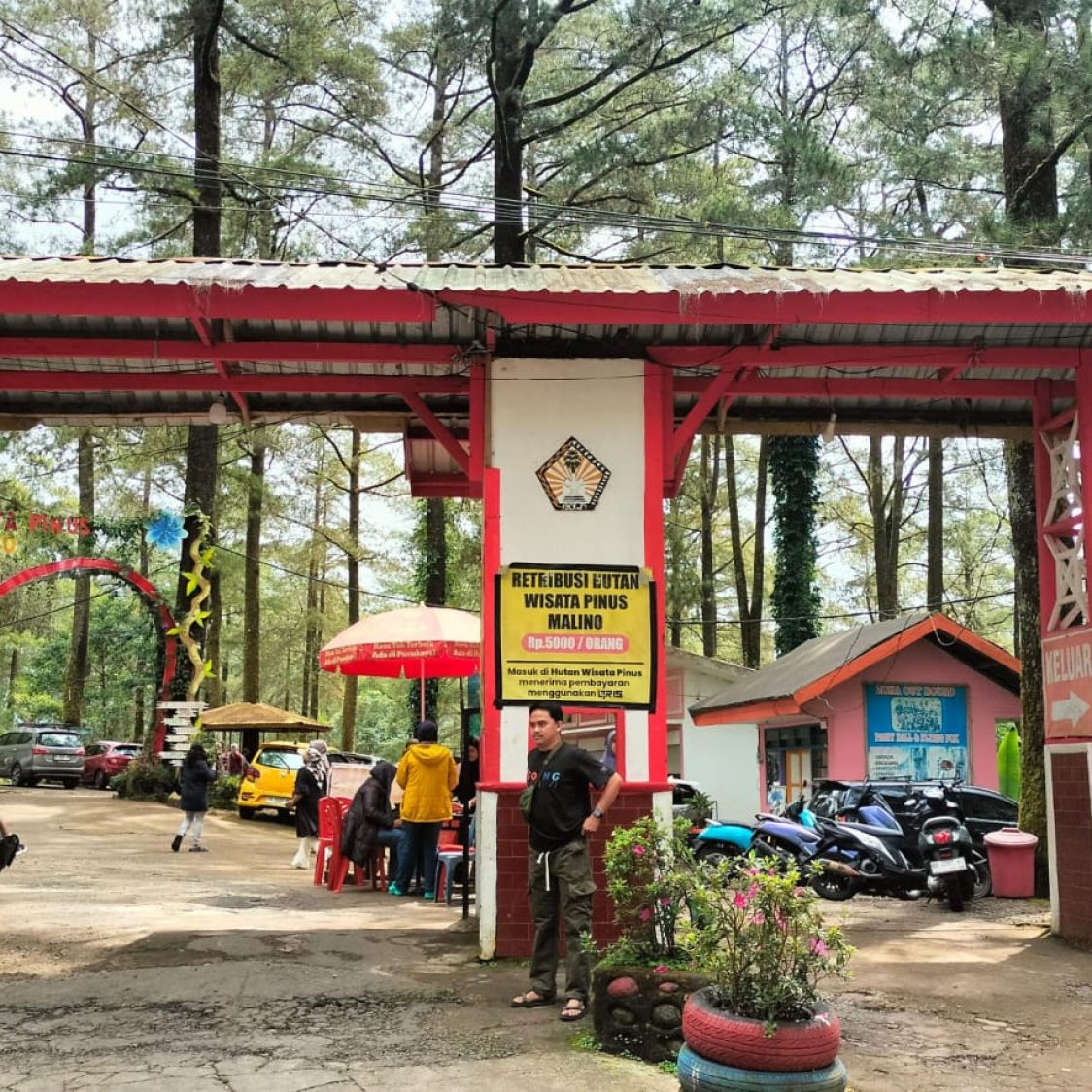 Wisata Alam Hutan Pinus Malino: Ladang Surga Buat Pelaku Pungli Mungkinkah Kepala Dinas Terlibat ?.