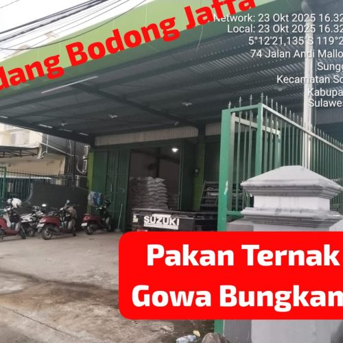 Tutup Gudang JAFFA Langgar UU Pakan?! Gudang Bodong di Tengah Kota Busuk, Langgar Izin Lingkungan. Gowa.