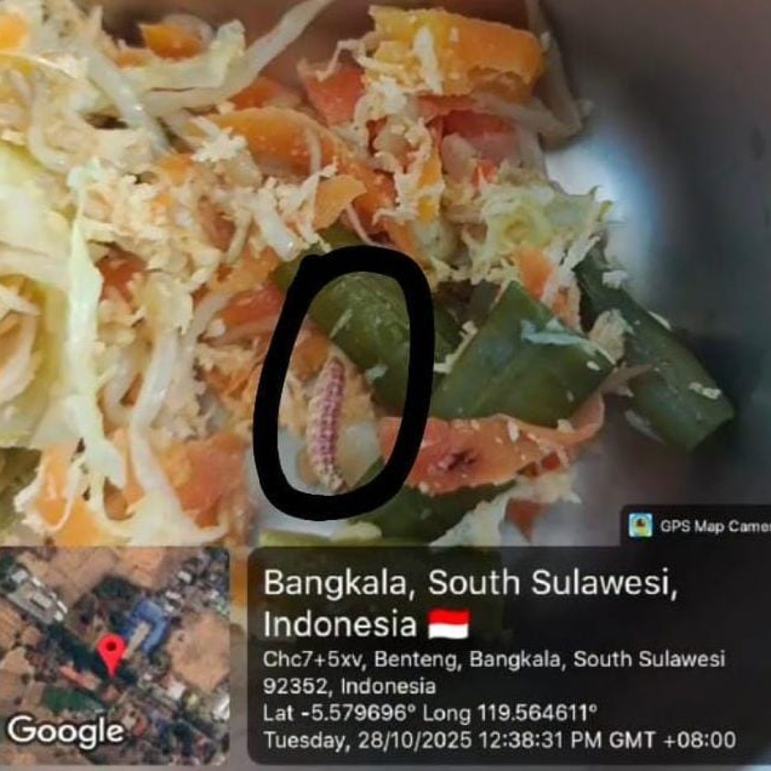 Guru SMP 1 Bangkala Temukan Ulat di Makanan Bergizi Gratis