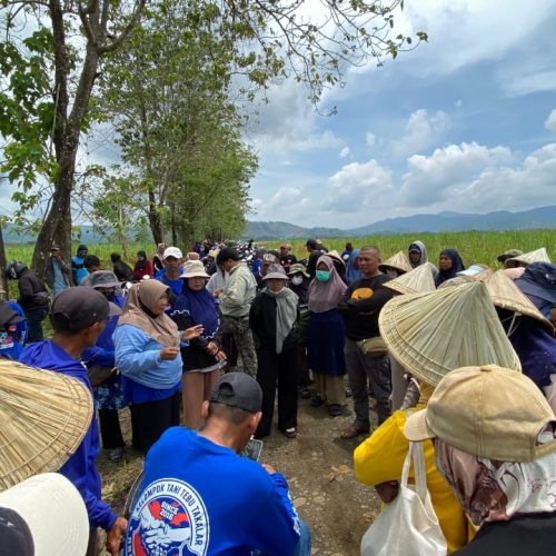 “Proses Hukum M. Saleh Dg. Naga Sekarang!” Tuntut Penjarakan “Perampok” Hak Petani Tebu Takalar!