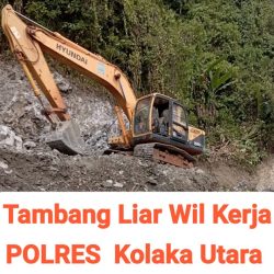 Dewan Pimpinan Pusat Lembaga Poros Rakyat Indonesia Soroti Tambang Ilegal di Kelurahan Lapaik, Kolaka Utara