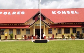 Tiga Tahun Berlalu, Laporan Sawit di Konsel Diduga Terbengkalai