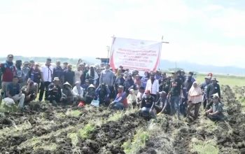 PERNYATAAN SIKAP RESMI Dewan Pimpinan Pusat — Poros Rakyat Indonesia  Terkait Pendampingan Petani Tebu di Kabupaten Takalar, Sulawesi Selatan